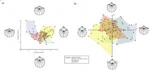 Distribution de la variance des vertèbres L1. Points jaunes humains en bonne santé, points rouges malades du dos, triangle rouge chimpanzés, ronds bleus orangs outangs. (a : Analyse Canonique, b : Analyse en Principale Composante). Fig.3 in réf. 1