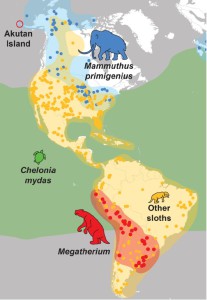 Répartition du Mammouth (bleu) et du Mégatherium (rouge) fossiles et de l’actuelle tortue verte (Chelonia mydas) espèce aujourd’hui protégée mais très menacée.  On peut voir que le Mammouth est boréal et le Mégatherium austral. Les autres paresseux d’Amérique du Sud et d’Amérique du Nord (orangé), très différents du Mégatherium,  n’ont jamais été inscrits au menu des Amérindiens 