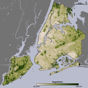 Staten Island est en bas à gauche. La végétation y est très dense à dense, l’urbanisation faible. Plus au Nord, sur l’ile de Manhattan, on peut distinguer le rectangle verdoyant de Central Park. (Photo Nasa)