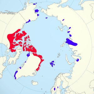 Aire de distribution du bœuf musqué. En rouge habitat historique, en bleu zones de réintroduction Document Wikipedia
